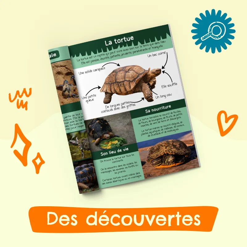 Magazine 3-6 ans l'école avec Eloan la tortue (n°12) – Image 3