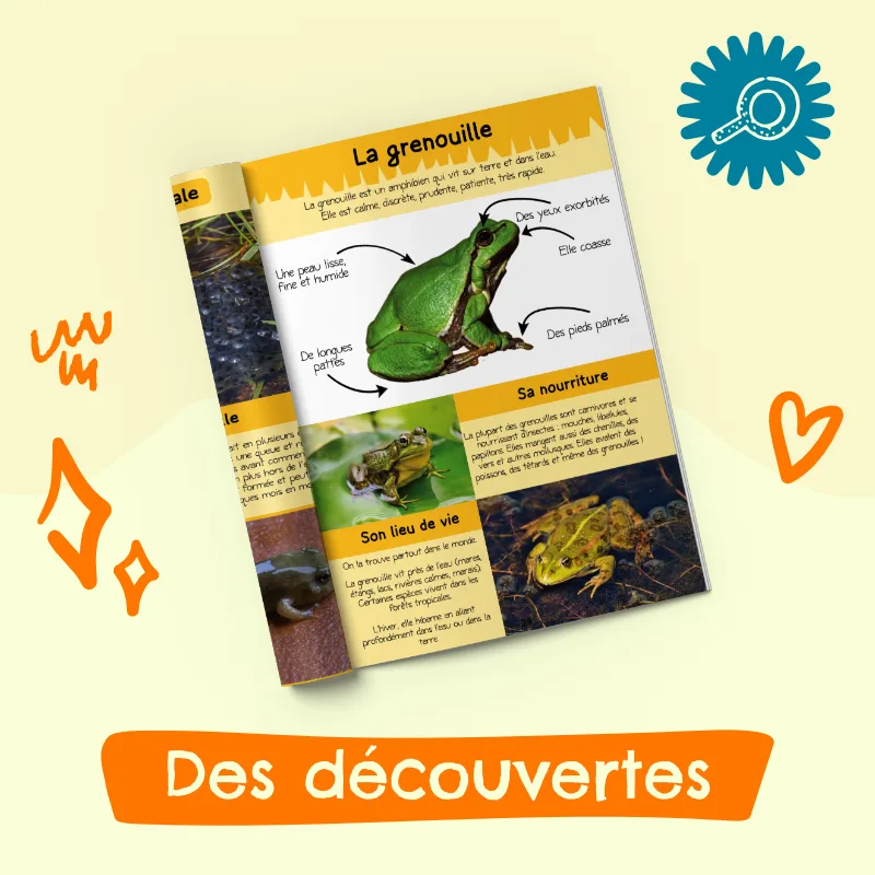 Magazine 3-6 ans l'été avec Elio la grenouille (n°10) – Image 3