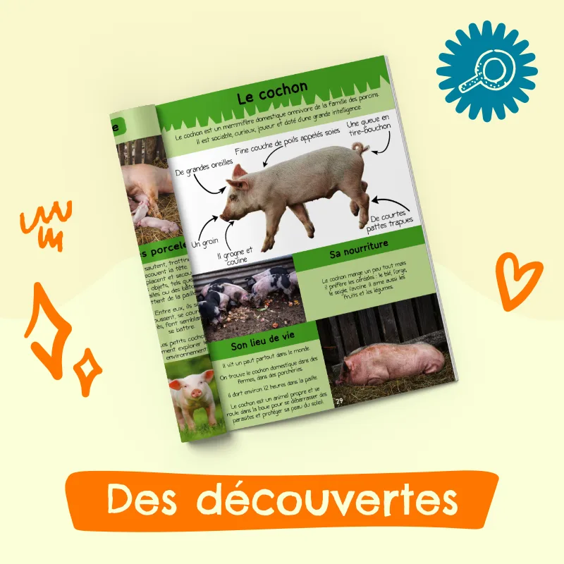 Magazine 3-6 ans la ferme avec Léon le cochon (n°9) – Image 3