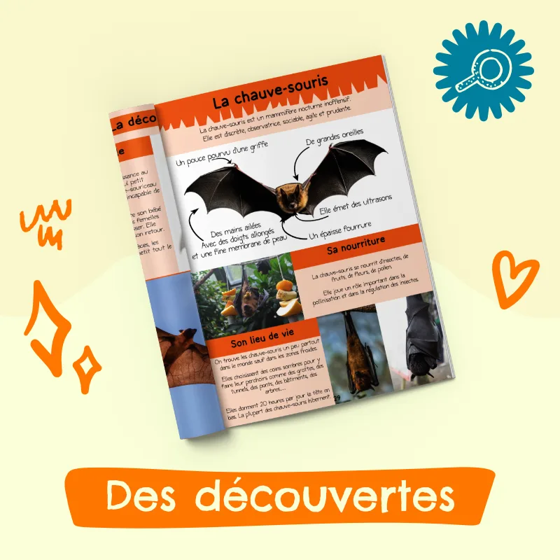 Magazine 3-6 ans Halloween avec Ben la chauve-souris (n°13) – Image 3