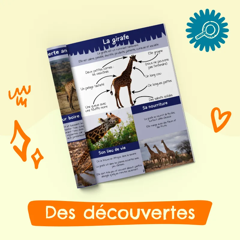 Magazine 3-6 ans la mer avec Malia la girafe (n°11) – Image 3