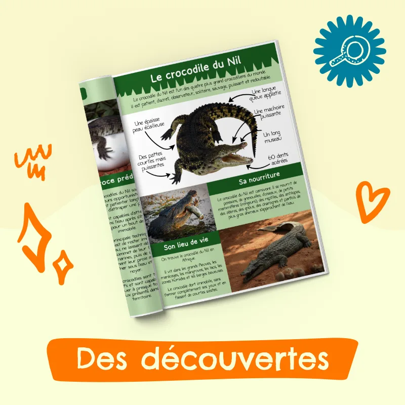 Magazine 3-6 ans les reptiles avec Max le crocodile (n°6) – Image 3